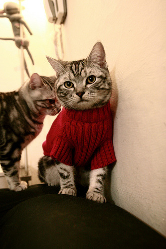 华体会-数据怪物金玟哉！芬兰一战他如何让中国队进攻线集体沉默？