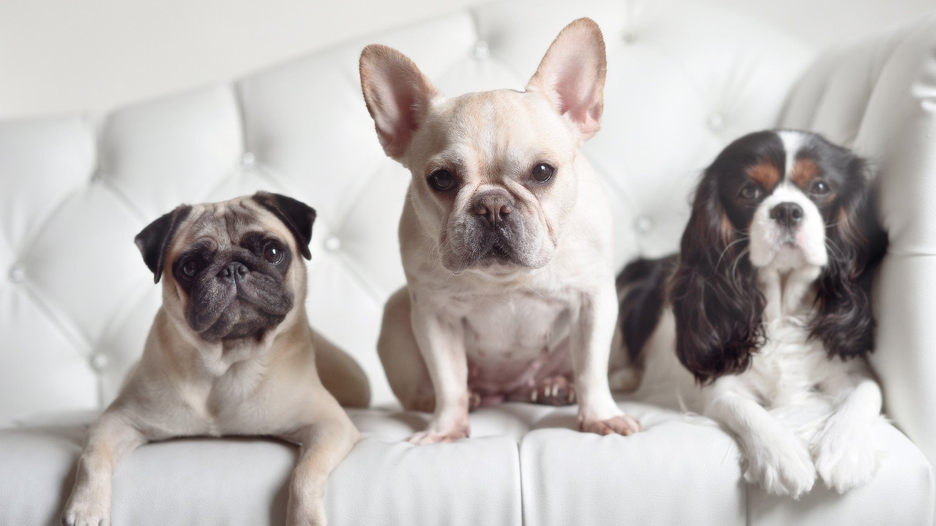 卡塞米罗爆发之夜,智利战术幽灵如何全面压制皇马?